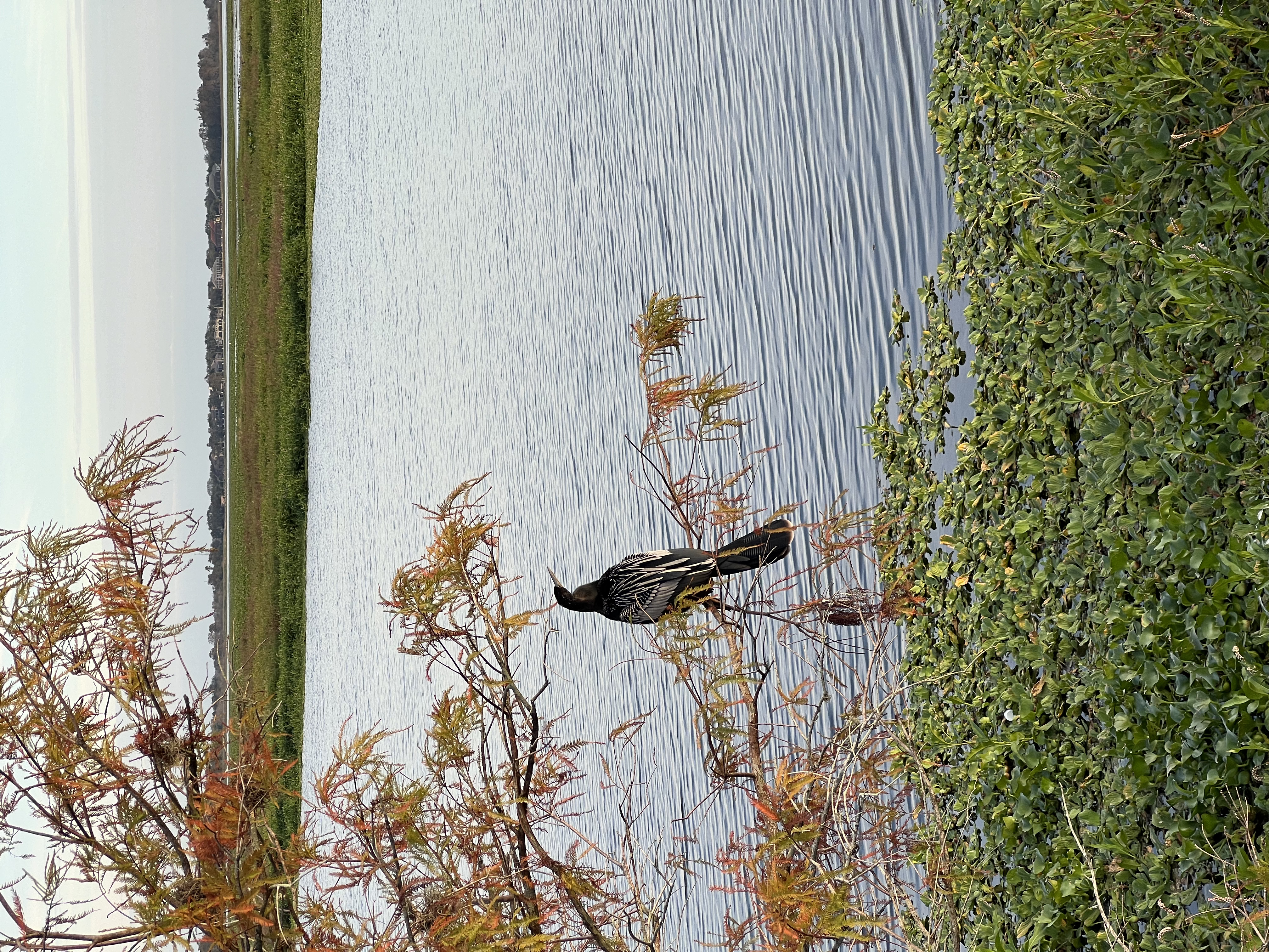 ./2024/12 - Thanksgiving/IMG_3991.jpg